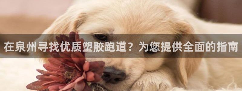 谈球吧买球是正规的吗：在泉州寻找优质塑胶跑道？为您提供全面的指南