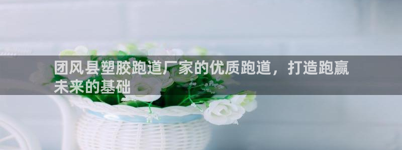 谈球吧app赛事分析