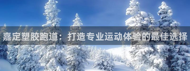 谈球吧网页版在线入口：嘉定塑胶跑道：打造专业运动体验的最佳选择