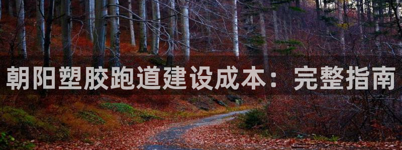 谈球吧电子：朝阳塑胶跑道建设成本：完整指南