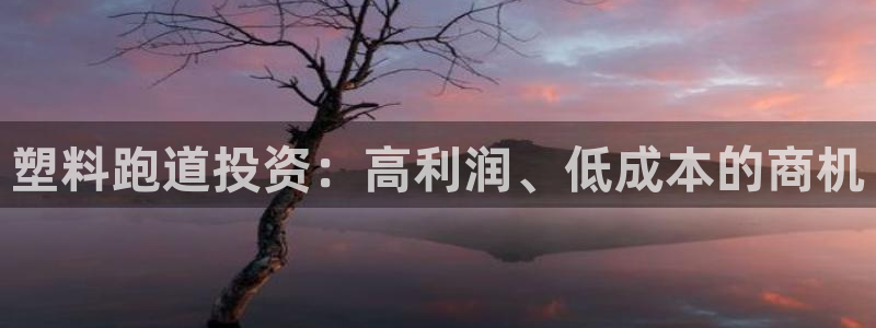 谈球吧app靠谱吗：塑料跑道投资：高利润、低成本的商机