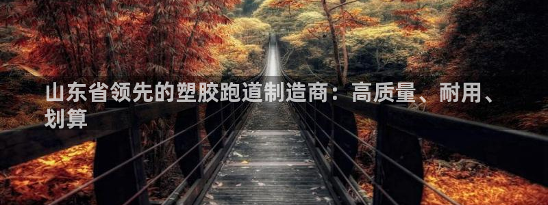 谈球吧咋样黑钱：山东省领先的塑胶跑道制造商：高质量、耐用、
划算