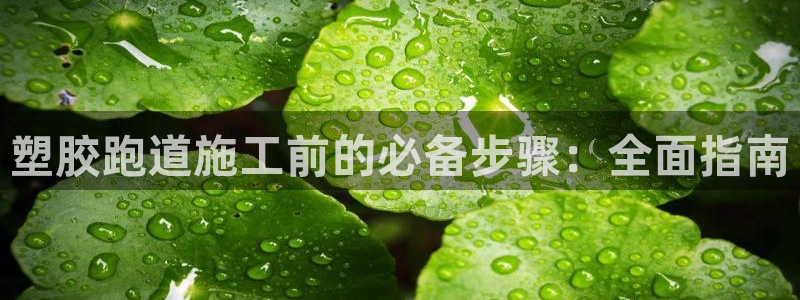 谈球吧不出款：塑胶跑道施工前的必备步骤：全面指南