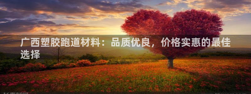 谈球吧官网在线入口免费观看视频网站：广西塑胶跑道材料：品质优良，价格实惠的最佳
选择