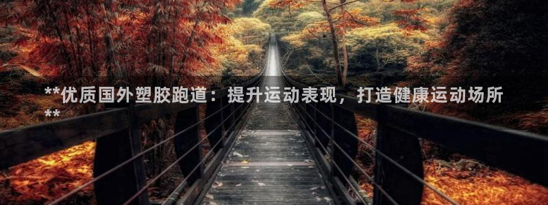 谈球吧电子：**优质国外塑胶跑道：提升运动表现，打造