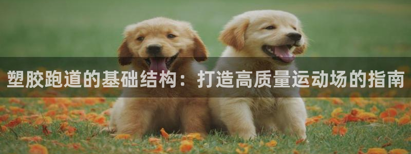 谈球吧app官网下载：塑胶跑道的基础结构：打造高质量运动场的指南