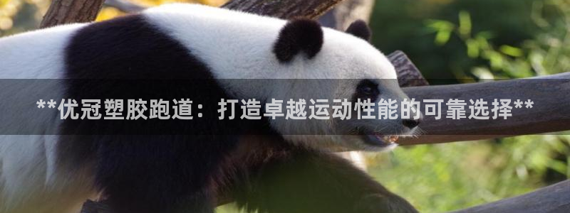 谈球吧是黑台子吗知乎小说：**优冠塑胶跑道：打造卓越运动性能的可靠选择**