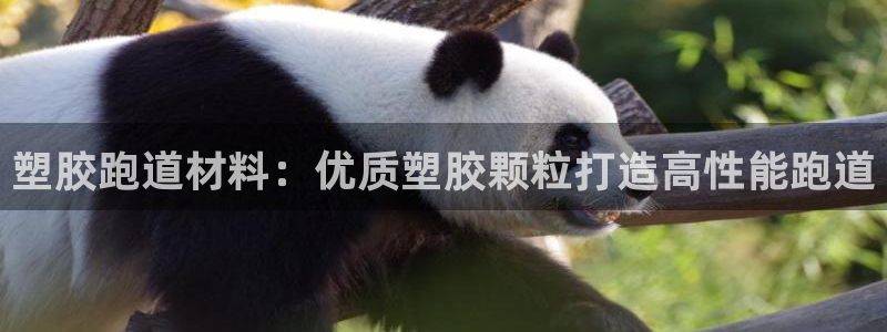 谈球吧是黑台子吗知乎小说：塑胶跑道材料：优质塑胶颗粒打造高性能跑道