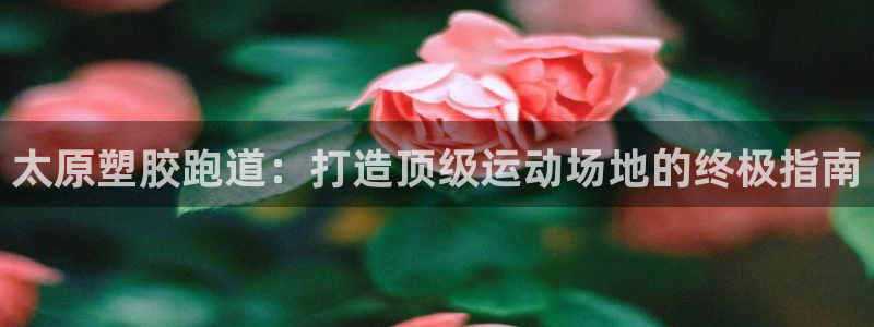 谈球吧买球提现：太原塑胶跑道：打造顶级运动场地的终极指南