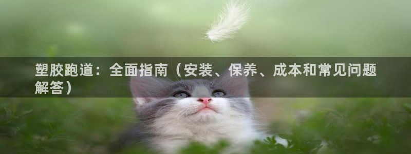 谈球吧全站app下载手机版：塑胶跑道：全面指南（安装、保养、成本和常见问题
解答）
