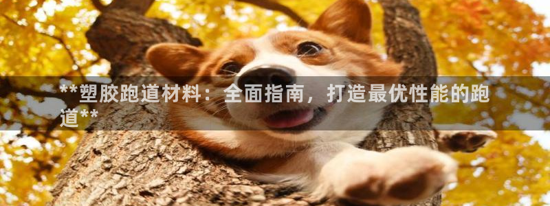 谈球吧官网提款不了：**塑胶跑道材料：全面指南，打造最优性能的跑
道**