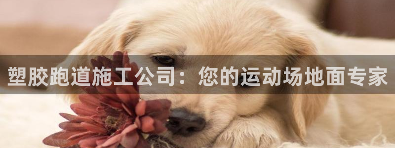谈球吧红包激活码：塑胶跑道施工公司：您的运动场地面专家