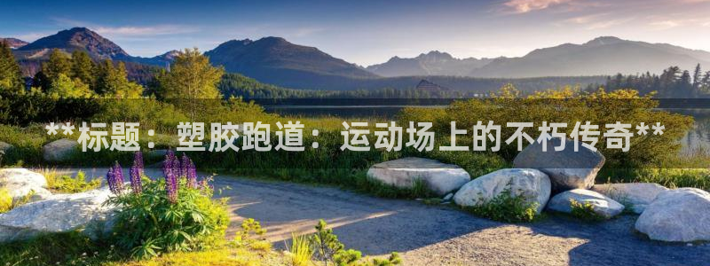 谈球吧是黑台子吗还是白台子好：**标题：塑胶跑道：运动场上的不朽传奇**