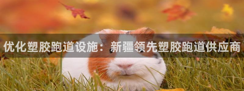 谈球吧平台黑吗?：优化塑胶跑道设施：新疆领先塑胶跑道供应商