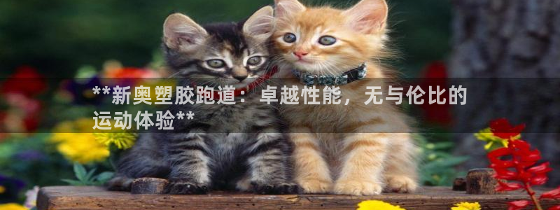 谈球吧论坛：**新奥塑胶跑道：卓越性能，无与伦比的
运动体验**