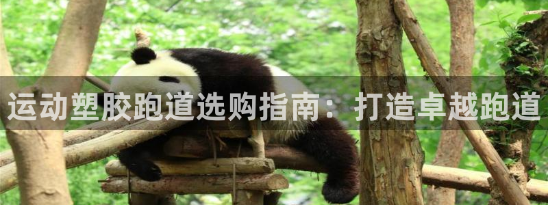 谈球吧app官网下载：运动塑胶跑道选购指南：打造卓越跑道