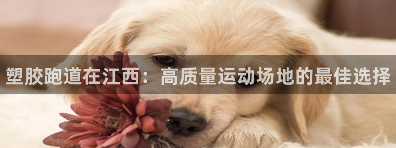 谈球吧体育综合：塑胶跑道在江西：高质量运动场地的最佳选择