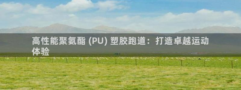 谈球吧app靠谱吗：高性能聚氨酯 (PU) 塑胶跑道：打造卓越运动
体验