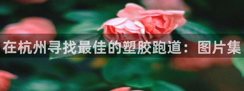 谈球吧体育app下载官网手机版苹果