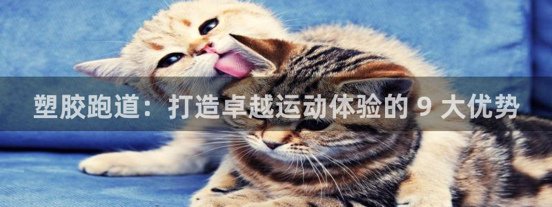 谈球吧体育app登陆：塑胶跑道：打造卓越运动体验的 9 大优势