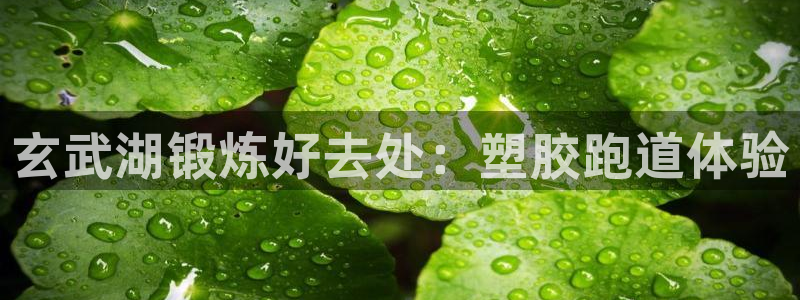谈球吧全站app下载手机版：玄武湖锻炼好去处：塑胶跑道体验