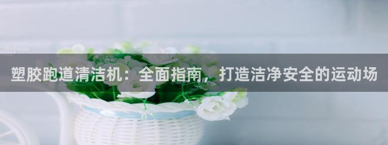 谈球吧中国：塑胶跑道清洁机：全面指南，打造洁净安全的