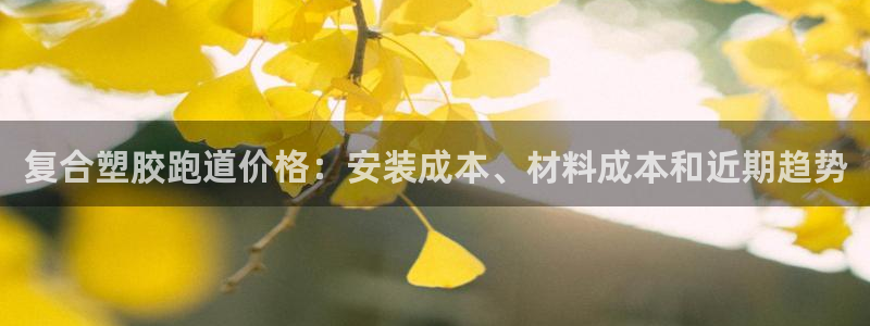 谈球吧咋样黑钱：复合塑胶跑道价格：安装成本、材料成本和近期趋势