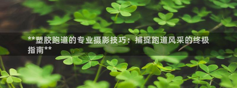 谈球吧是黑台子吗是真的吗：**塑胶跑道的专业摄影技巧：捕捉跑道风采的终极
指南**