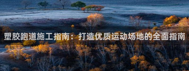 谈球吧不出款：塑胶跑道施工指南：打造优质运动场地的全