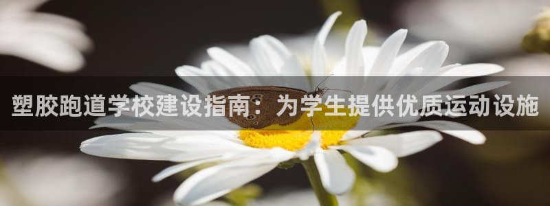 谈球吧：塑胶跑道学校建设指南：为学生提供优质运动设施