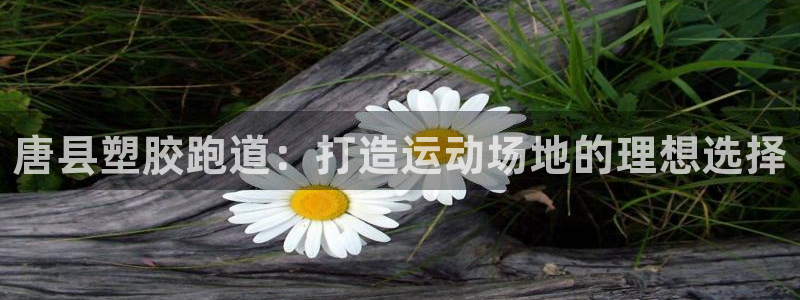 谈球吧体育app官网下载安装：唐县塑胶跑道：打造运动场地的理想选择