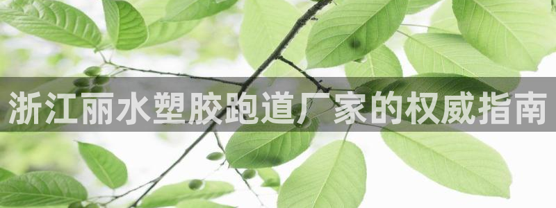 谈球吧体育app登陆不上：浙江丽水塑胶跑道厂家的权威指南
