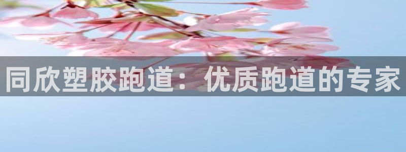 谈球吧在线登录免费观看：同欣塑胶跑道：优质跑道的专家