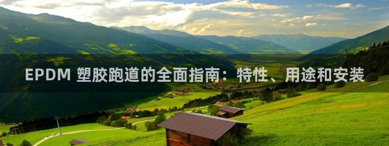 谈球吧官网app：EPDM 塑胶跑道的全面指南：特性