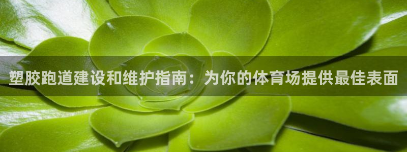 谈球吧官网在线入口免费观看高清版：塑胶跑道建设和维护指南：为你的体育场提供最佳表面