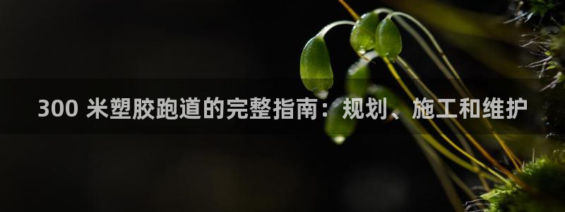 谈球吧体育app下载中心官网苹果：300 米塑胶跑道的完整指南：规划、施工和维护