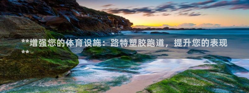 谈球吧入口：**增强您的体育设施：路特塑胶跑道，提升您的表现
**