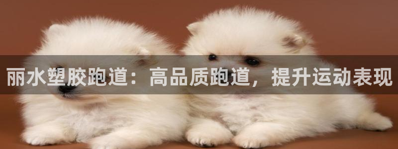 谈球吧网页登录：丽水塑胶跑道：高品质跑道，提升运动表现