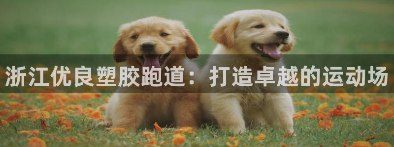 谈球吧可靠吗