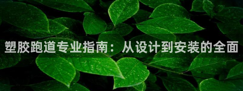 谈球吧官网在线入口手机版下载