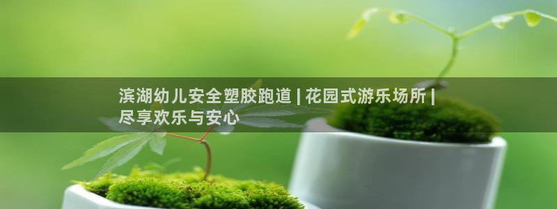 谈球吧娱乐app下载官网苹果版：滨湖幼儿安全塑胶跑道 | 花园式游乐场所 | 
尽享欢乐与安心