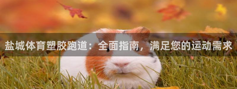 谈球吧app官网：盐城体育塑胶跑道：全面指南，满足您的运动需求