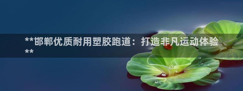 谈球吧APP入口：**邯郸优质耐用塑胶跑道：打造非凡