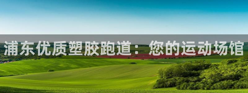 谈球吧官网在线入口手机版下载苹果：浦东优质塑胶跑道：您的运动场馆
