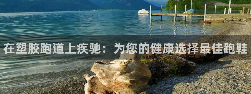 谈球吧综合官网app：在塑胶跑道上疾驰：为您的健康选择最佳跑鞋