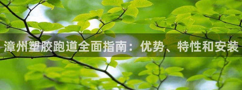谈球吧体育app下载官网手机版苹果