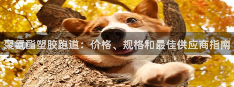 谈球吧官网在线入口手机版免费：聚氨酯塑胶跑道：价格、规格和最佳供应商指南