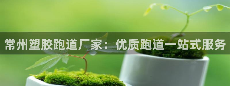 谈球吧体育综合台：常州塑胶跑道厂家：优质跑道一站式服务