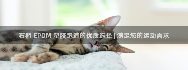 tqb谈球吧：石狮 EPDM 塑胶跑道的优质选择 | 满足您的运动需求