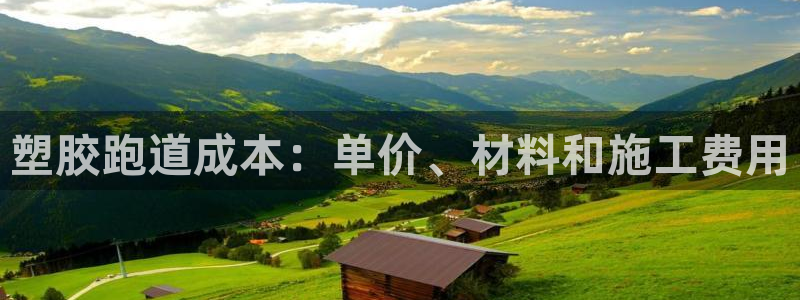 谈球吧算违法行为吗为什么：塑胶跑道成本：单价、材料和施工费用
